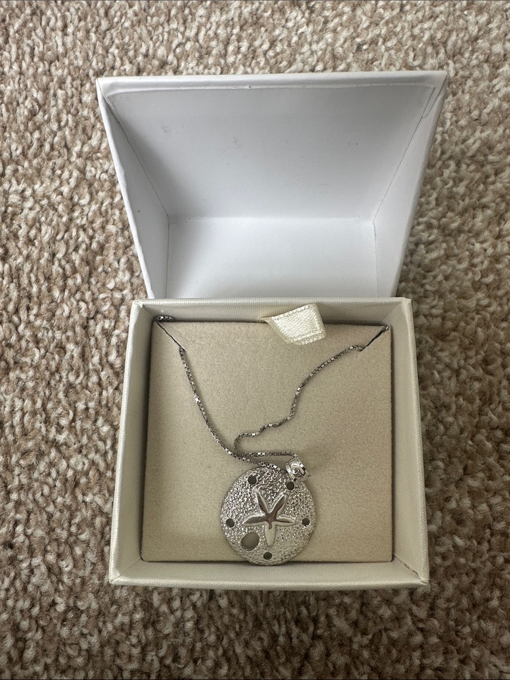 Sterling Sand Dollar Pendant Necklace in Cream